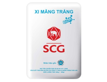 Xi Măng Trắng